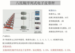 8托辊序列式高精度皮带秤