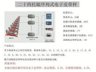 24托辊序列式高精度皮带秤