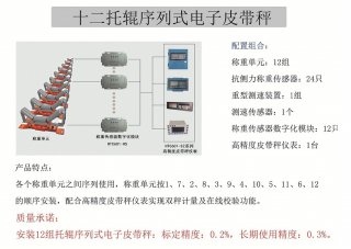 12托辊序列式高精度皮带秤