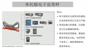 单托辊电子皮带秤