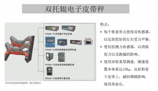 双托辊电子皮带秤