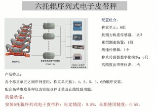 6托辊高精度皮带秤